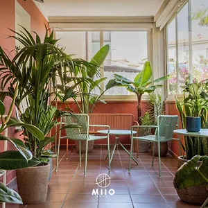 Miio *** San Vincenzo